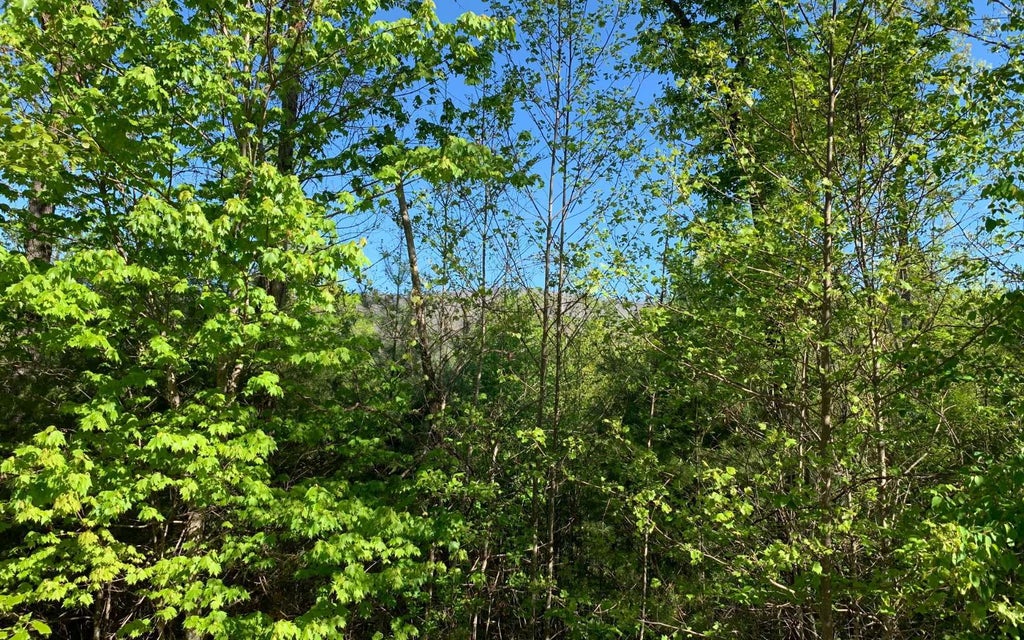 Lt 57 Fires Creek Cove Road, Hayesville NC Hayesville Lots/Land Homes