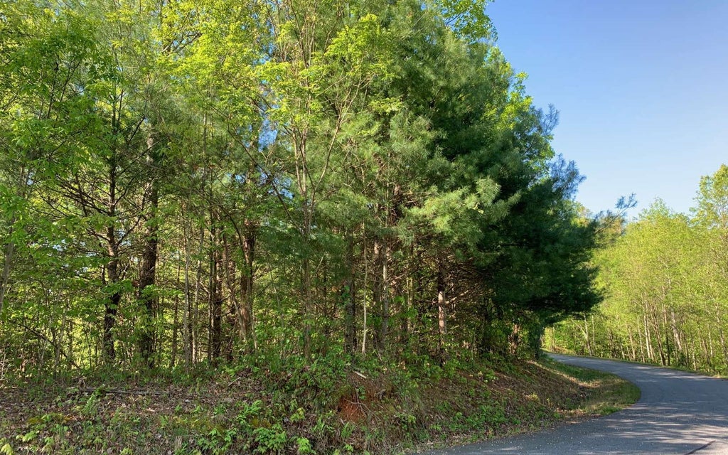 Lt 57 Fires Creek Cove Road, Hayesville NC Hayesville Lots/Land Homes