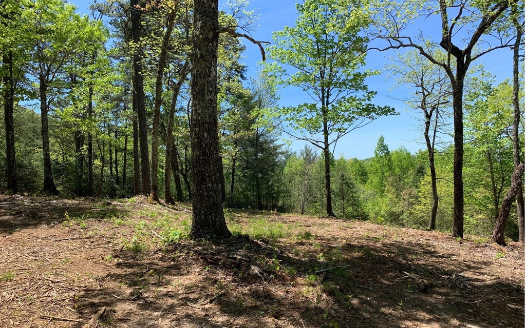 Lt 26 Winchester Cove, Hayesville NC Hayesville Lots/Land Homes For Sale