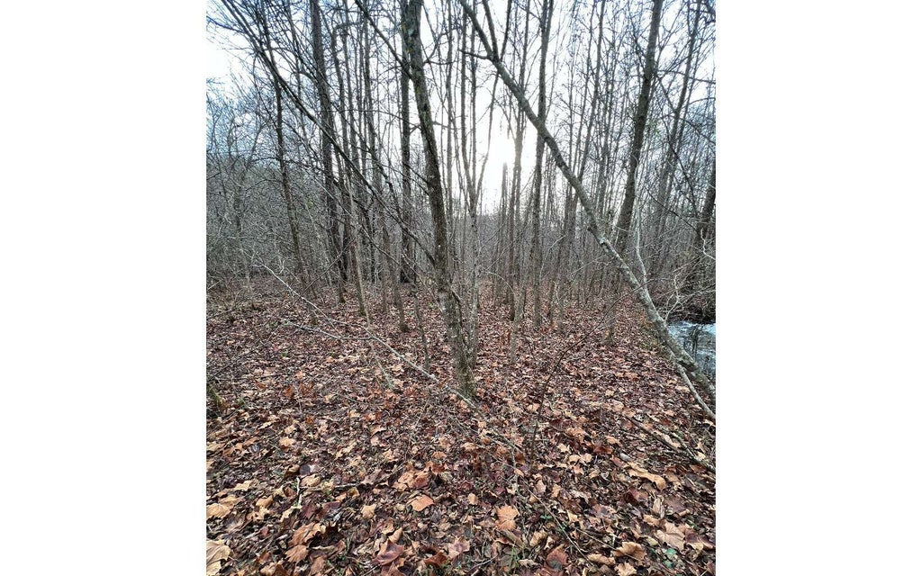 917 Mary Lane, Hayesville NC Hayesville Lots/Land Homes For Sale