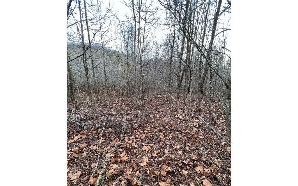 917 Mary Lane, Hayesville NC Hayesville Lots/Land Homes For Sale