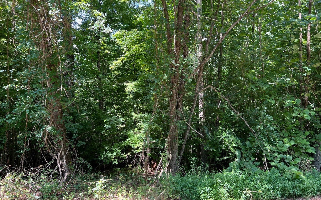 Lt 58 Fires Creek Cove Road, Hayesville NC Hayesville Lots/Land Homes