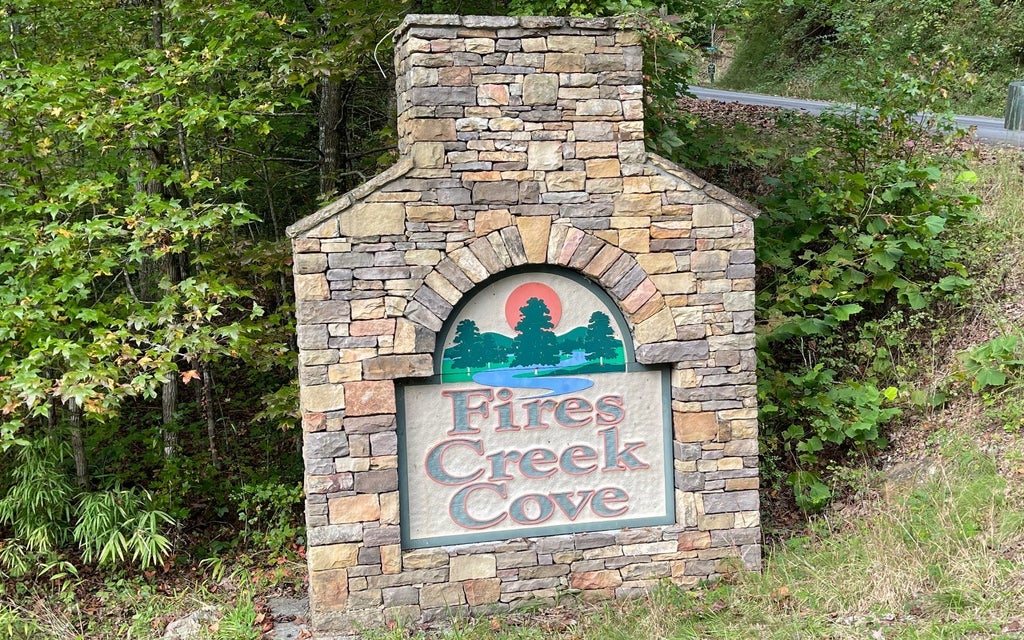 Lt 75 Fires Creek Cove Road, Hayesville NC Hayesville Lots/Land Homes