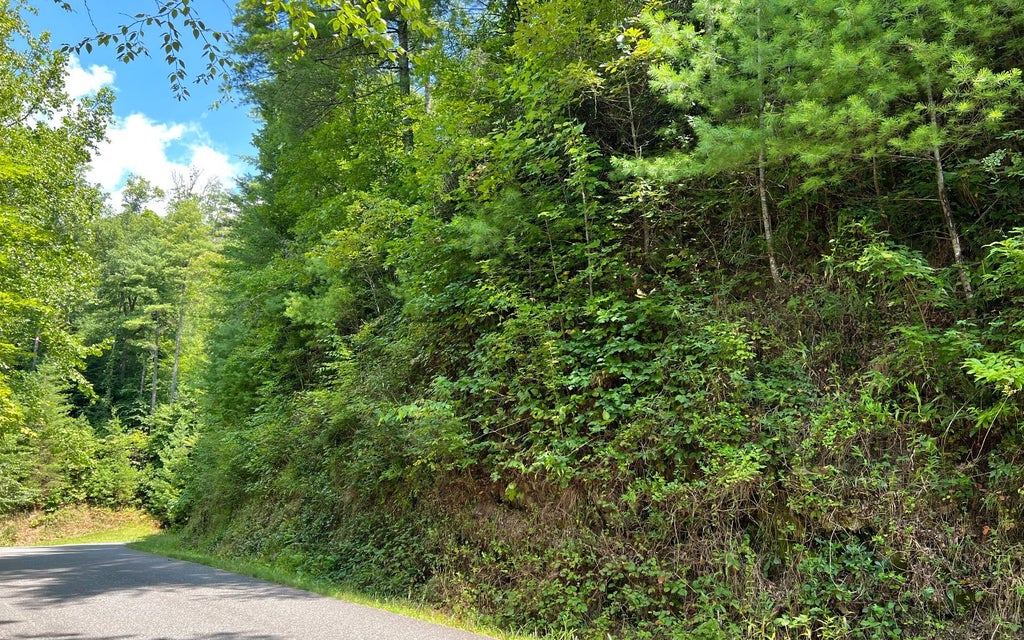 Lt 76 Fires Creek Cove Road, Hayesville NC Hayesville Lots/Land Homes