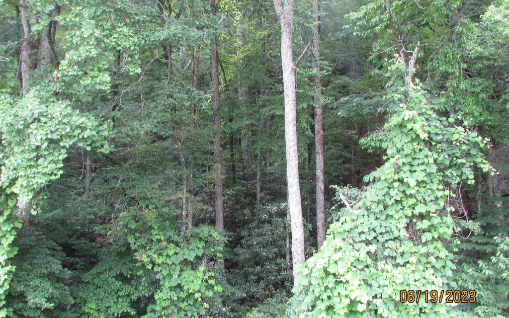 Fires Creek Road, Hayesville NC Hayesville Lots/Land Homes For Sale