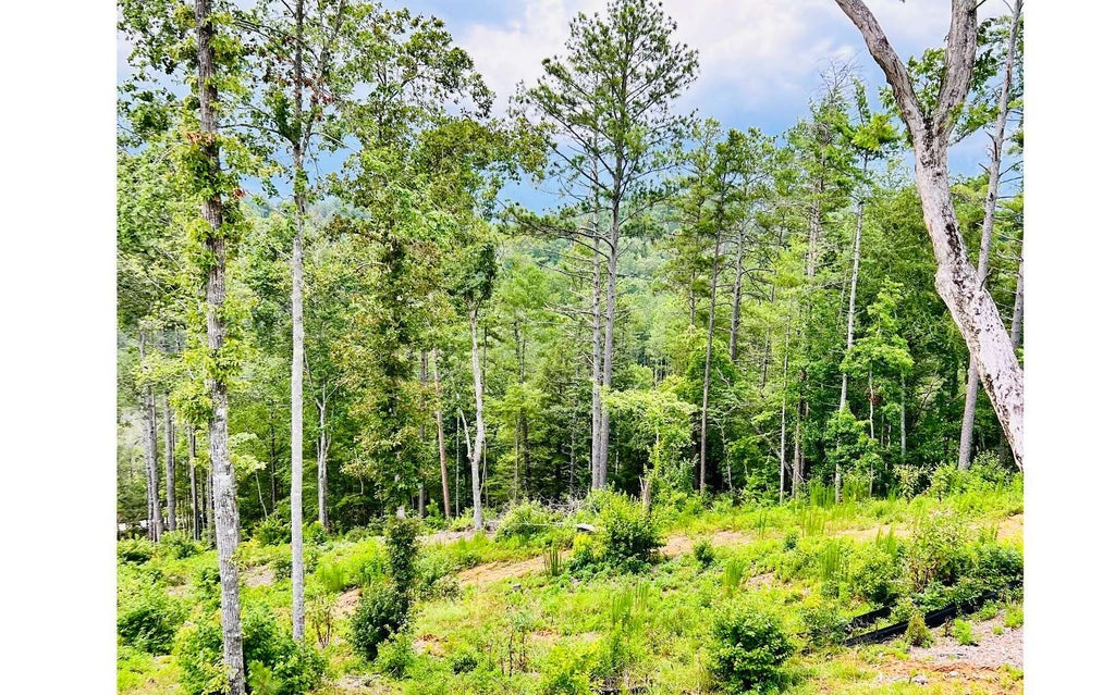 242 High River Crossing, Ellijay GA Ellijay Lots/Land Homes For Sale