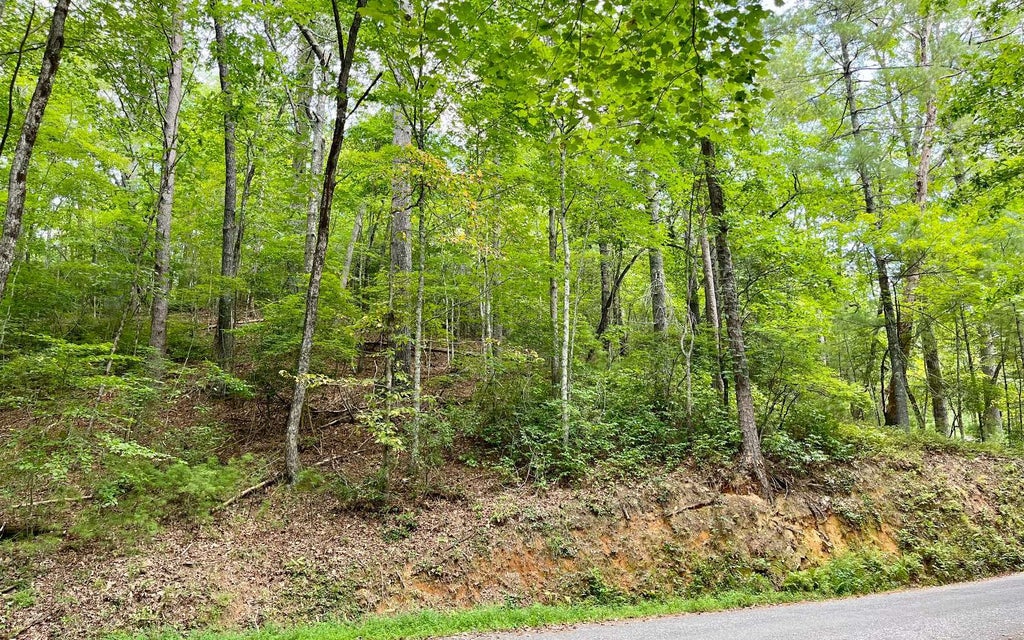 3.85 Ac Old Aska Road S, Blue Ridge GA Blue Ridge Lots/Land Homes For