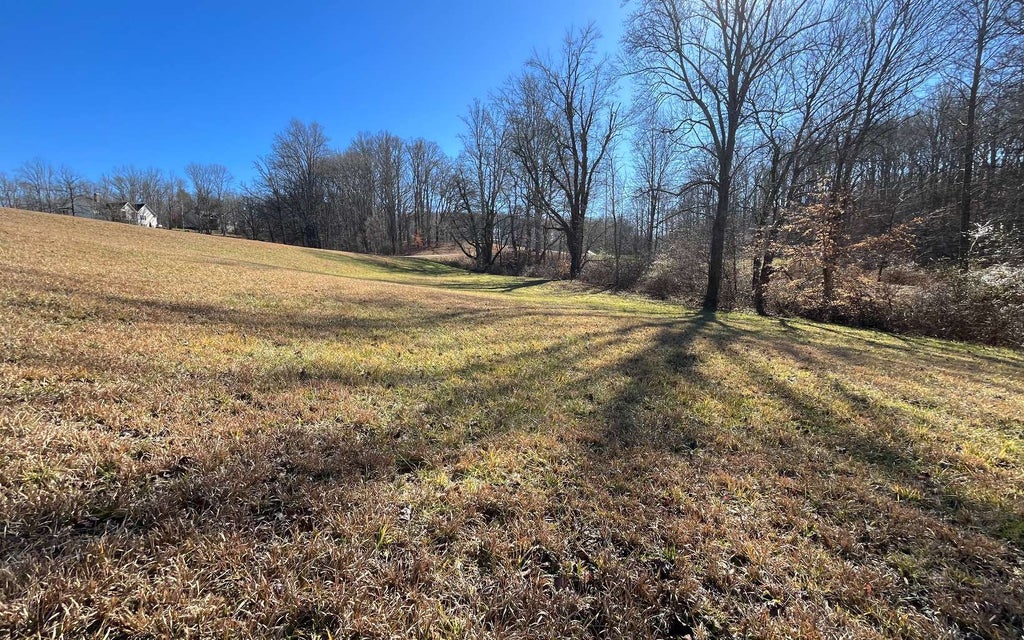 Lt117 Owen Glen Drive, Blairsville GA Blairsville Lots/Land Homes For