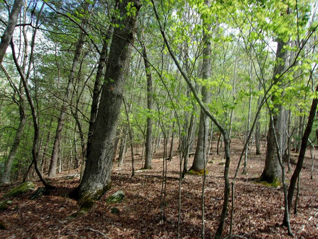 2090r Newport Dr (lot), Ellijay GA Ellijay Lots/Land Homes For Sale