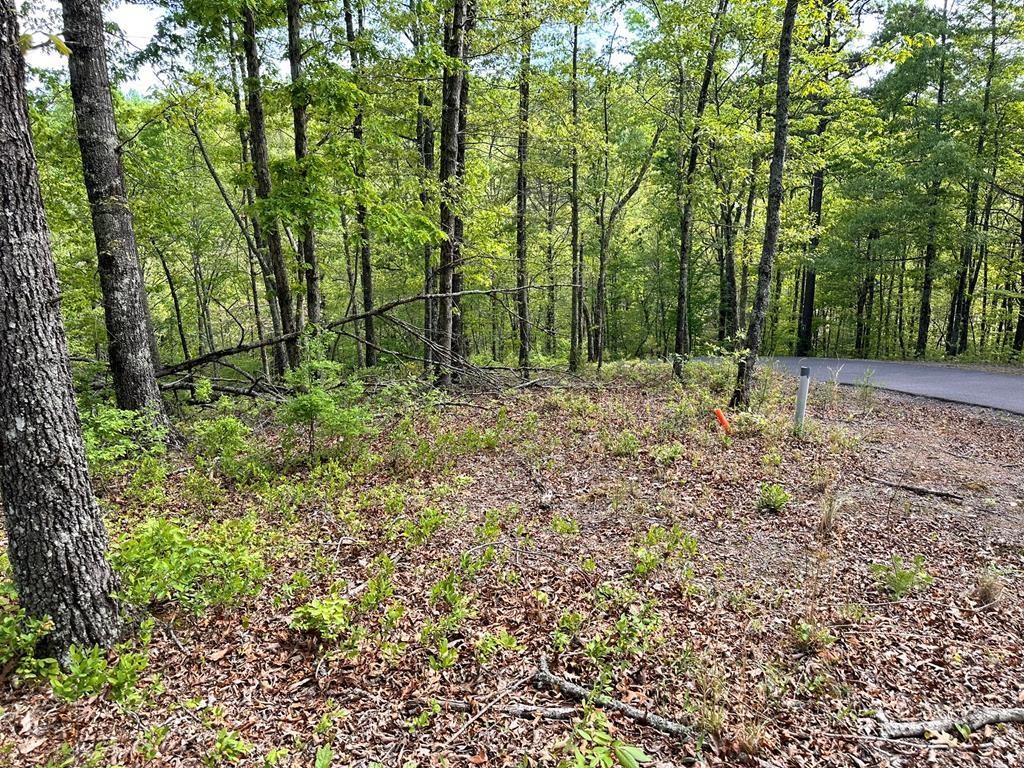 Lot 12 Settawig Overlook, Hayesville NC Hayesville Lots/Land Homes