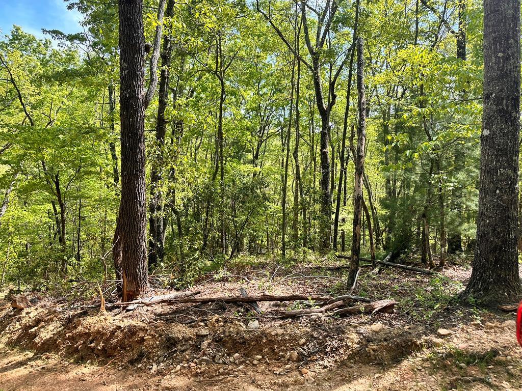 Lot 13 Settawig Overlook, Hayesville NC Hayesville Lots/Land Homes