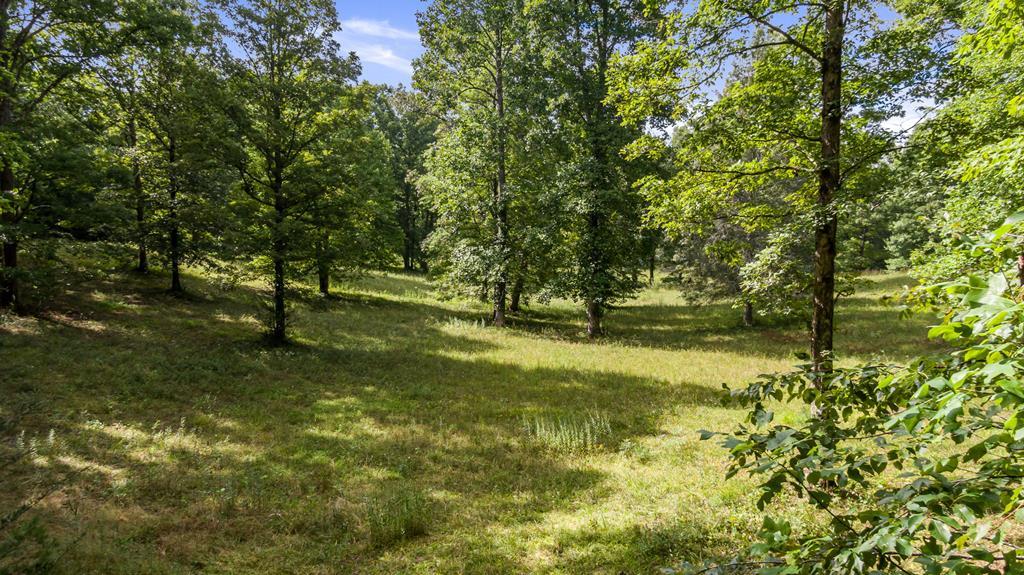 W Pierceville Road, Mccaysville GA Mccaysville Lots/Land Homes For Sale