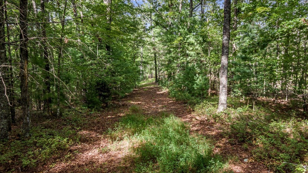 W Pierceville Road, Mccaysville GA Mccaysville Lots/Land Homes For Sale