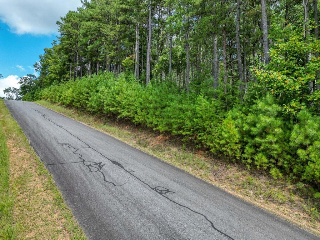 Lt 236 Riverside On Lake Nottely, Blairsville GA Blairsville Lots