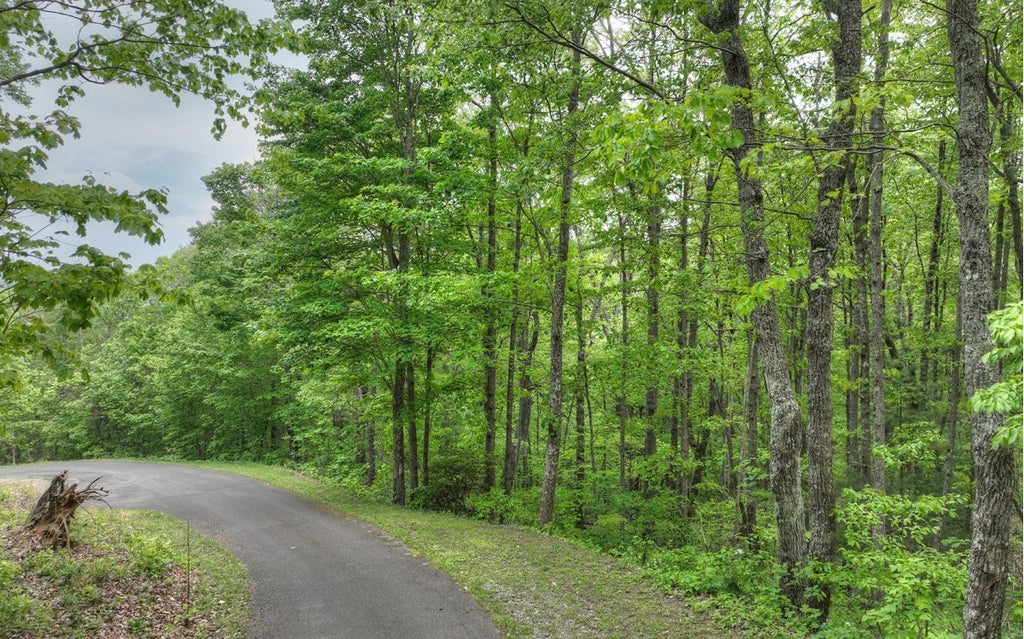 Lt 44 Autumn Fern Way, Chatsworth GA Chatsworth Lots/Land Homes For Sale