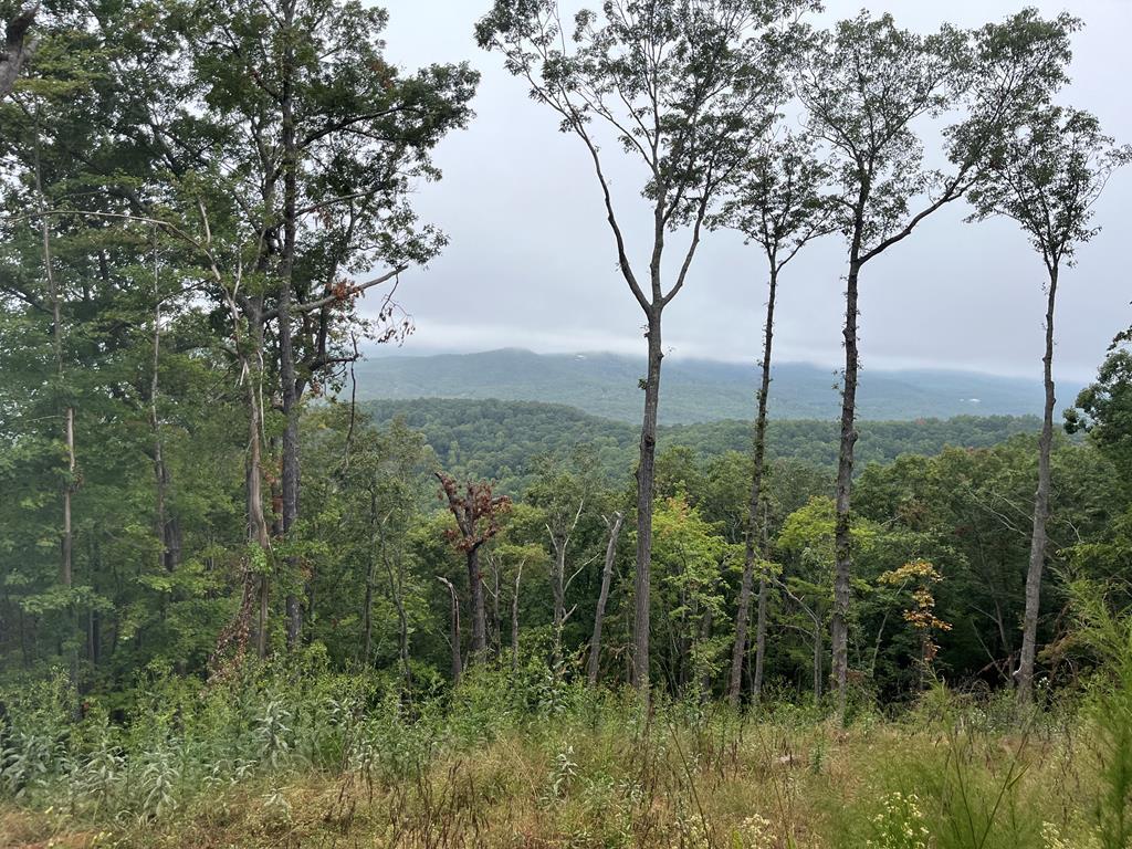 Lot 244 Mountain High Drive, Mineral Bluff GA Mineral Bluff Lots/Land