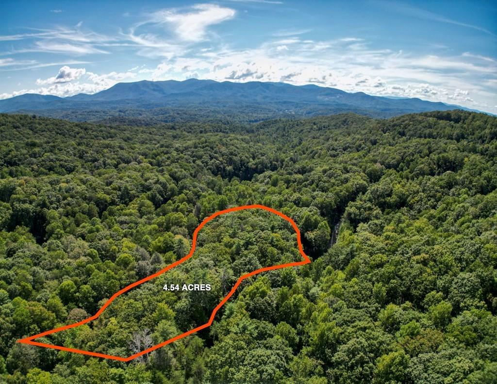 14 & 15 Big Ben Road, Ellijay GA Ellijay Lots/Land Homes For Sale