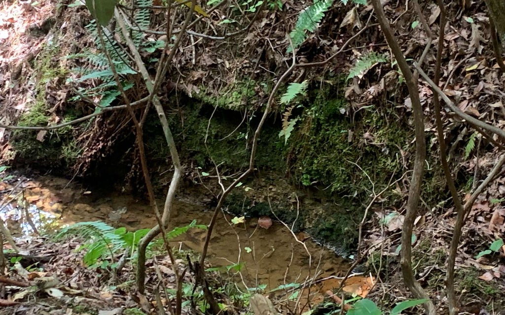 0000 Shady Grove Road, Murphy NC Murphy Lots/Land Homes For Sale