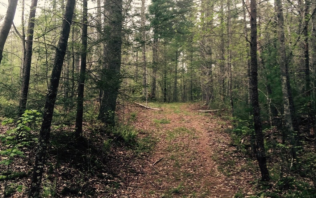 116 Acre Mountain View Road, Mccaysville GA Mccaysville Lots/Land