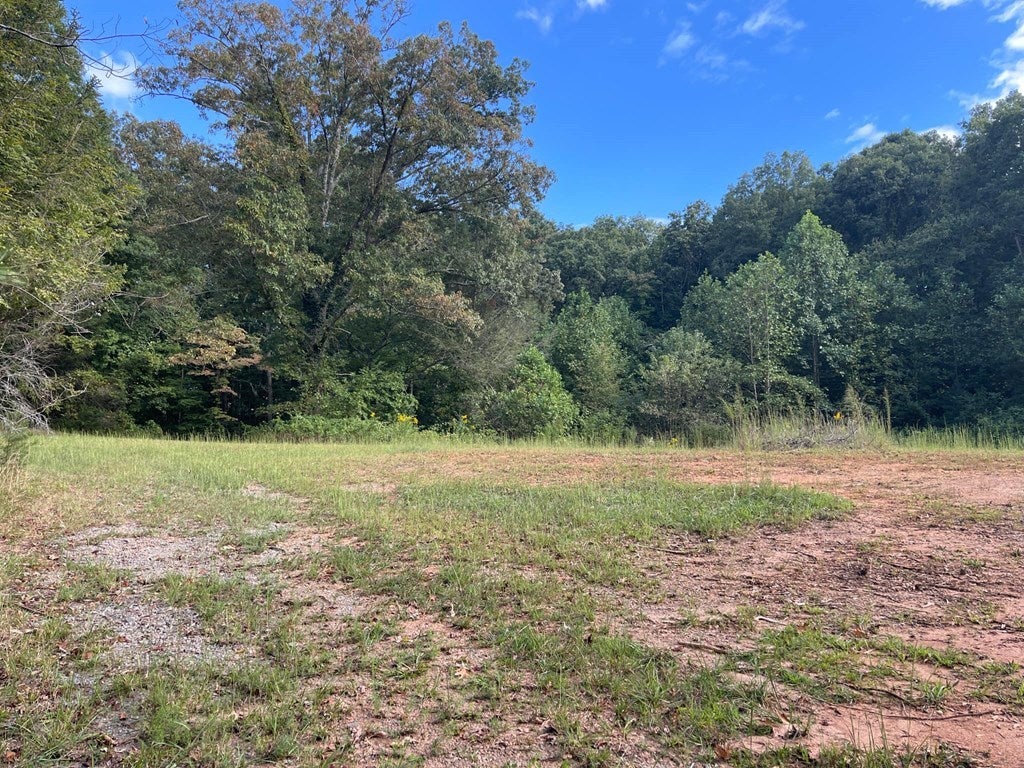 Ash Loop Road, Blue Ridge GA Blue Ridge Lots/Land Homes For Sale