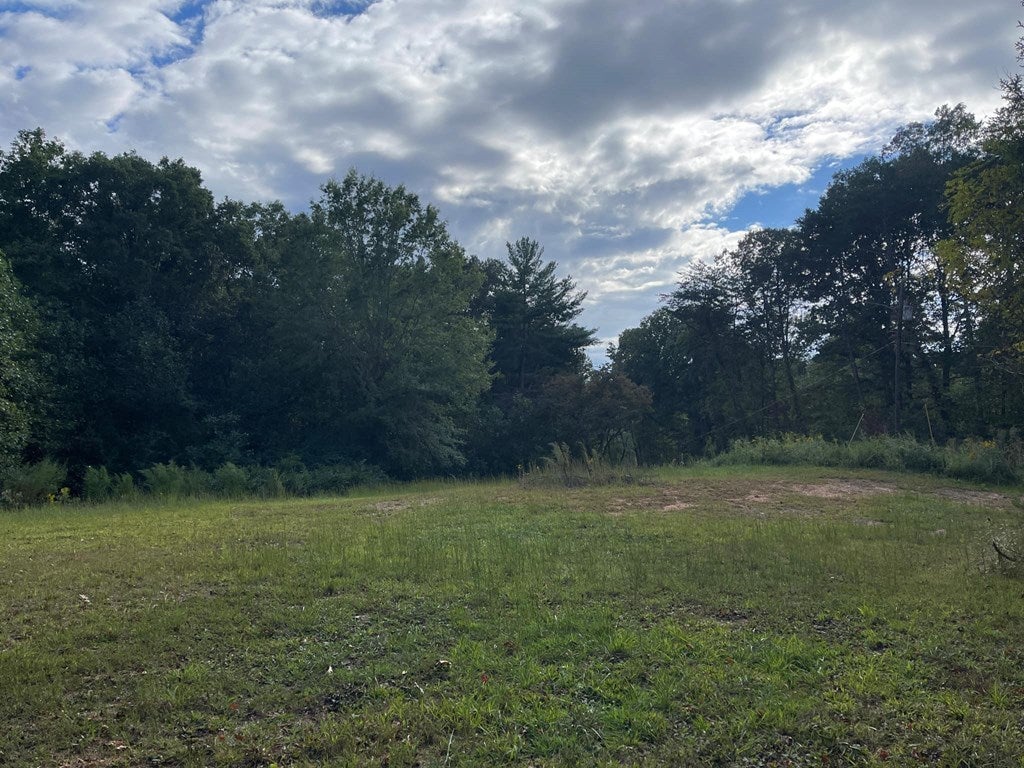 Ash Loop Road, Blue Ridge GA Blue Ridge Lots/Land Homes For Sale