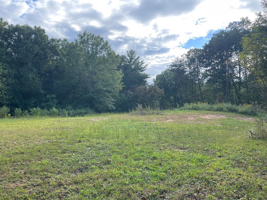 Ash Loop Road, Blue Ridge GA Blue Ridge Lots/Land Homes For Sale