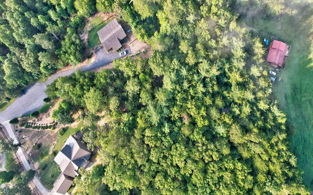 Lt 48 Double Springs Stlmt, Young Harris GA Young Harris Lots/Land