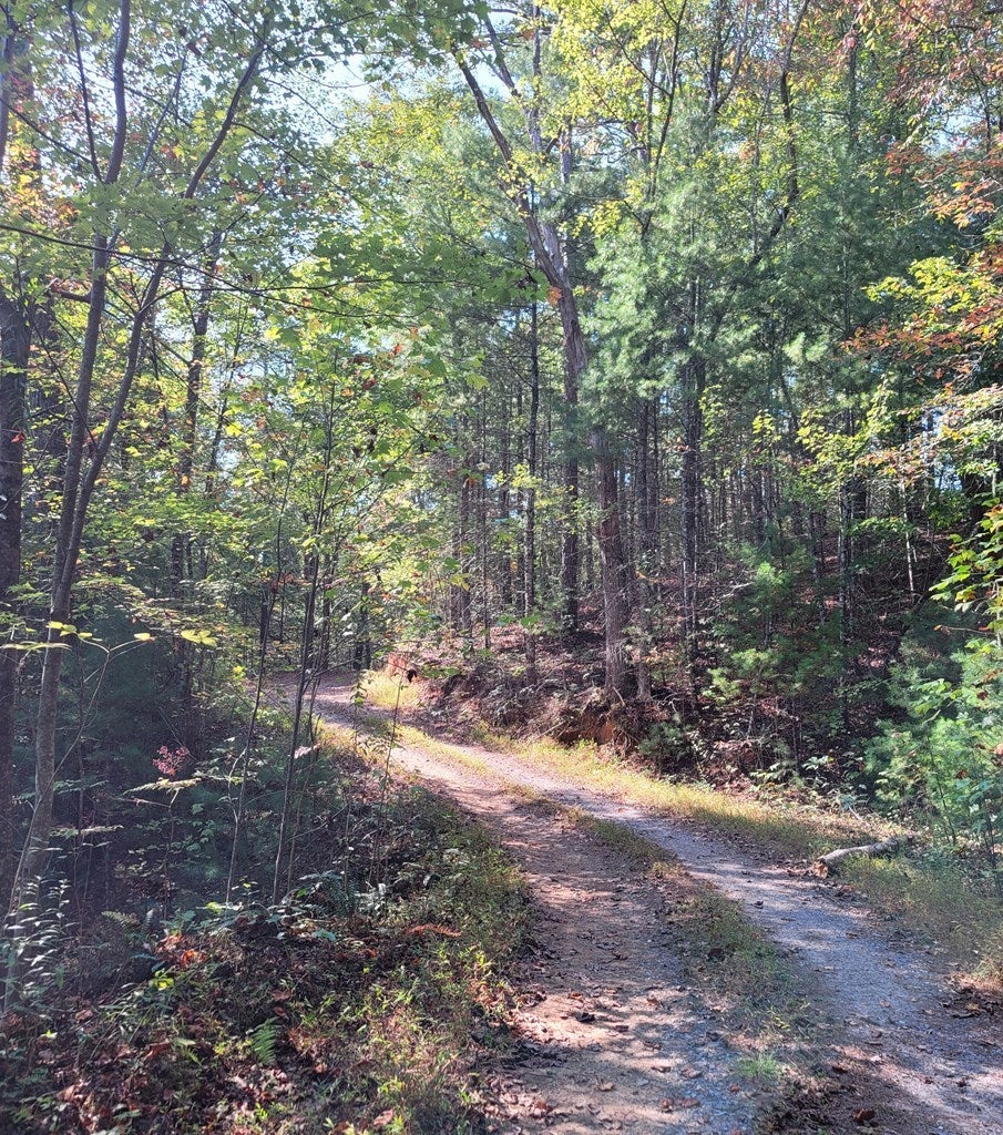 00 Owassa Road, Murphy NC Murphy Homes For Sale