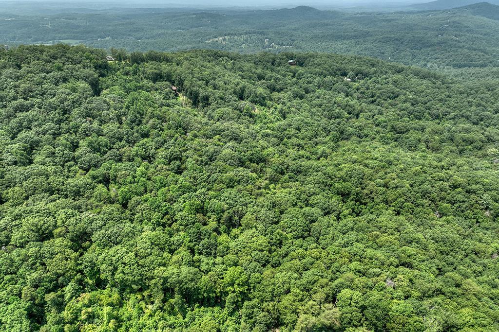 7.89 Ac Laurel Springs Road, Mineral Bluff GA Mineral Bluff Lots/Land