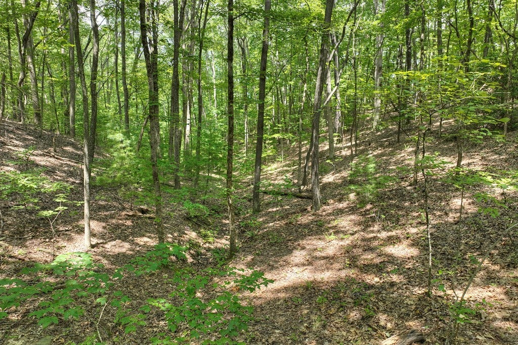 7.89 Ac Laurel Springs Road, Mineral Bluff GA Mineral Bluff Lots/Land