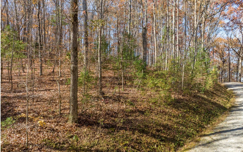 Lot 7 Joseph Anderson Trail, Ellijay GA Ellijay Lots/Land Homes For Sale