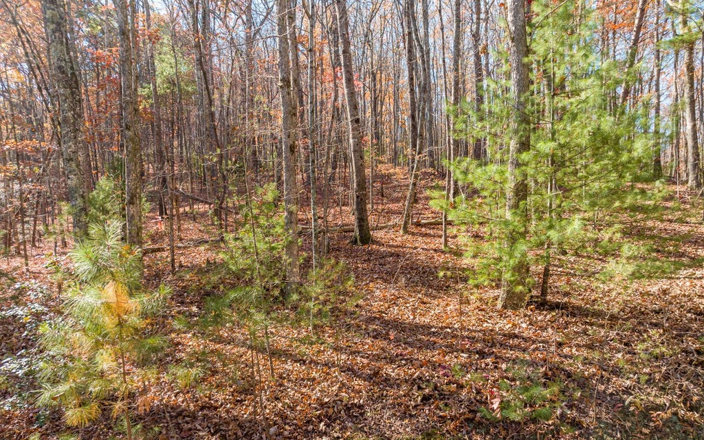 Lot 7 Joseph Anderson Trail, Ellijay GA Ellijay Lots/Land Homes For Sale