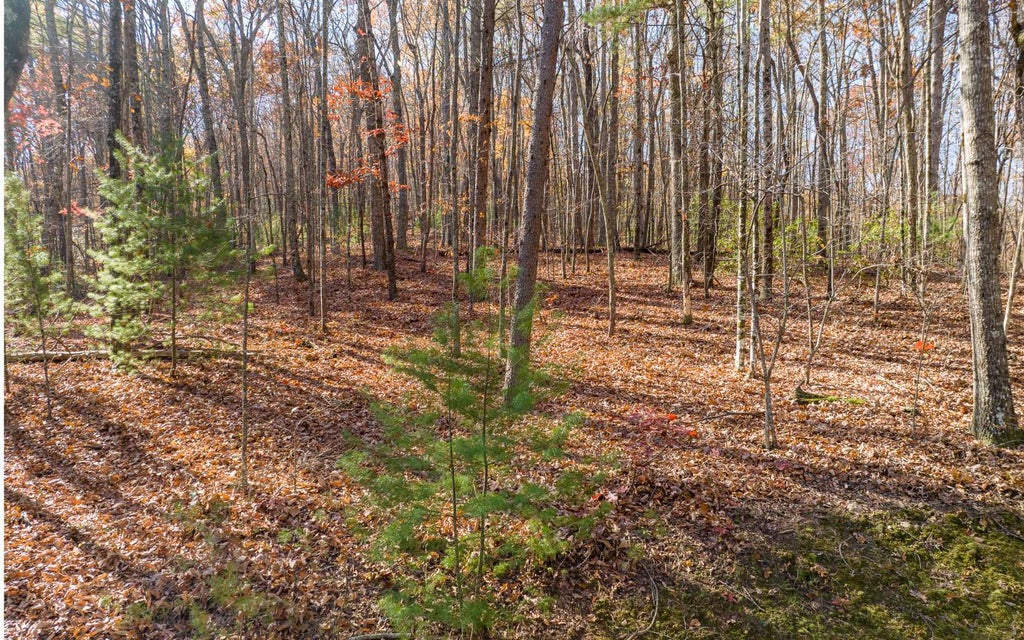 Lot 7 Joseph Anderson Trail, Ellijay GA Ellijay Lots/Land Homes For Sale