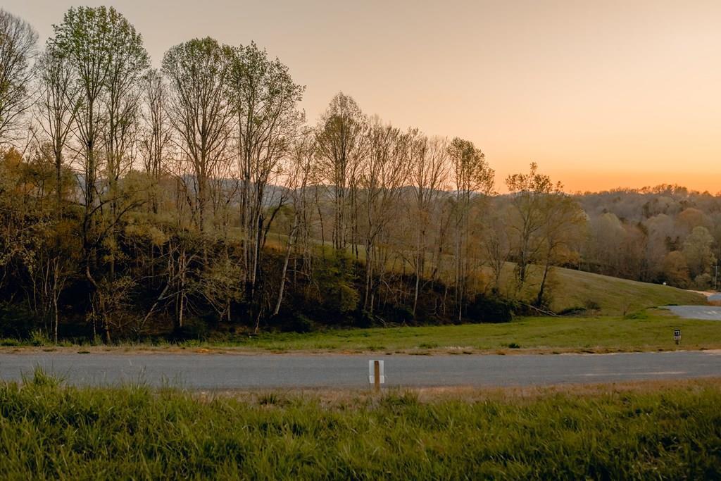 Lot 69 Big Valley Drive, GA Lots/Land Homes For Sale