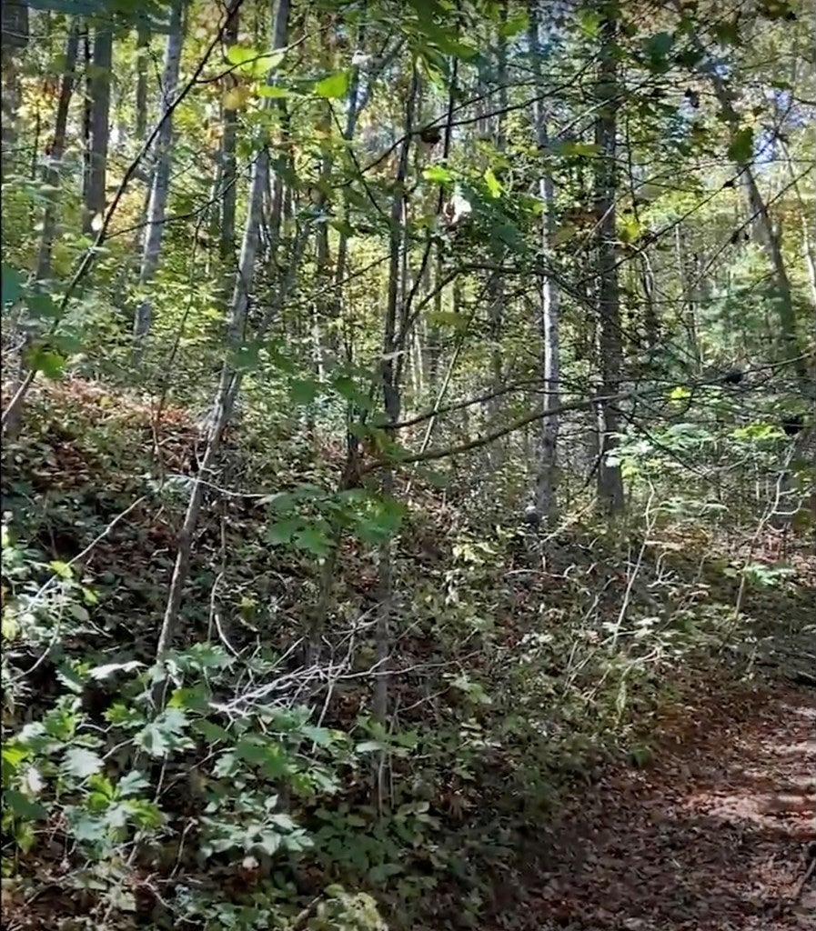 Happy Valley, Hiawassee GA Hiawassee Lots/Land Homes For Sale