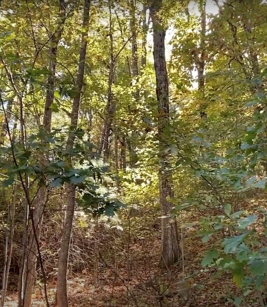 Happy Valley, Hiawassee GA Hiawassee Lots/Land Homes For Sale