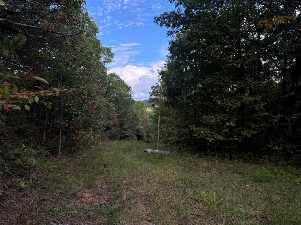 13.57 Ac Burnt Mountain Cove Road, Jasper GA Jasper Lots/Land Homes