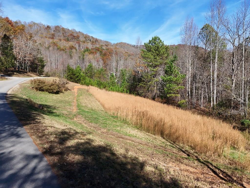 Lot 1 Wildwood, Hayesville