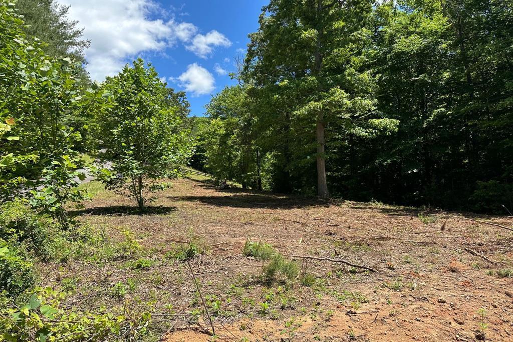 Lot 8 Moore Acres, Hayesville