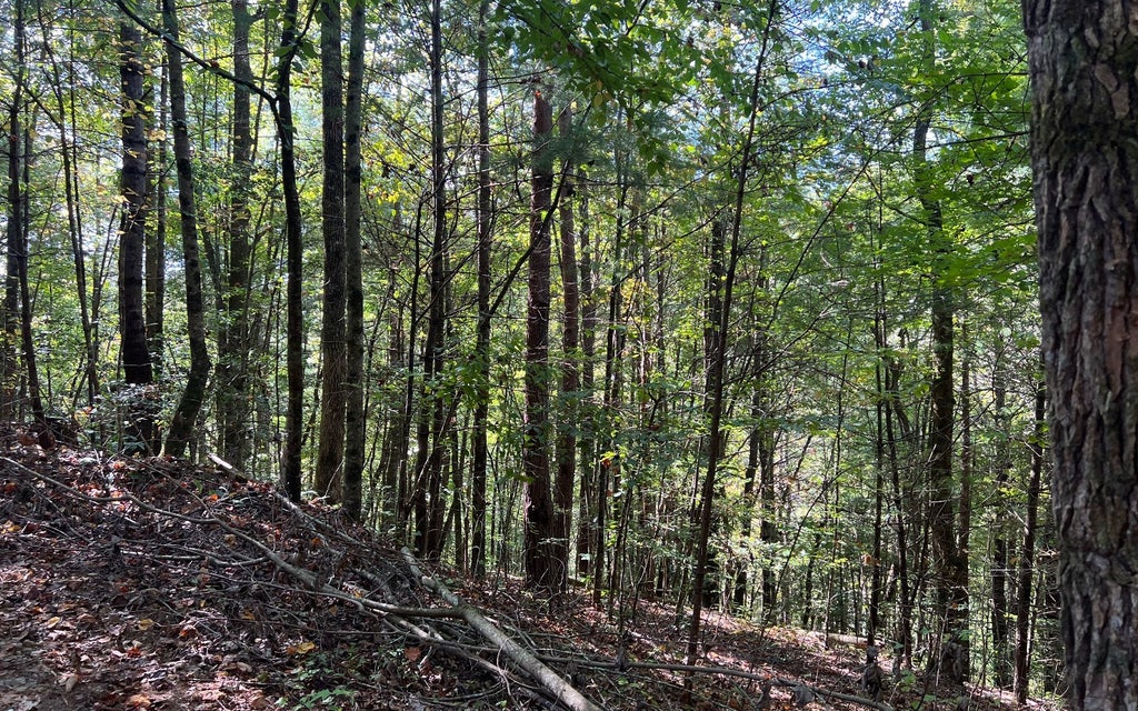 5 Acres Conasauga Drive, Ellijay