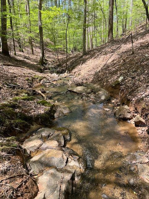 Lt 3421 Hart Court, Ellijay