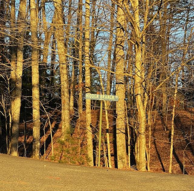 Lot 18 Hidden Branch Drive, Young Harris