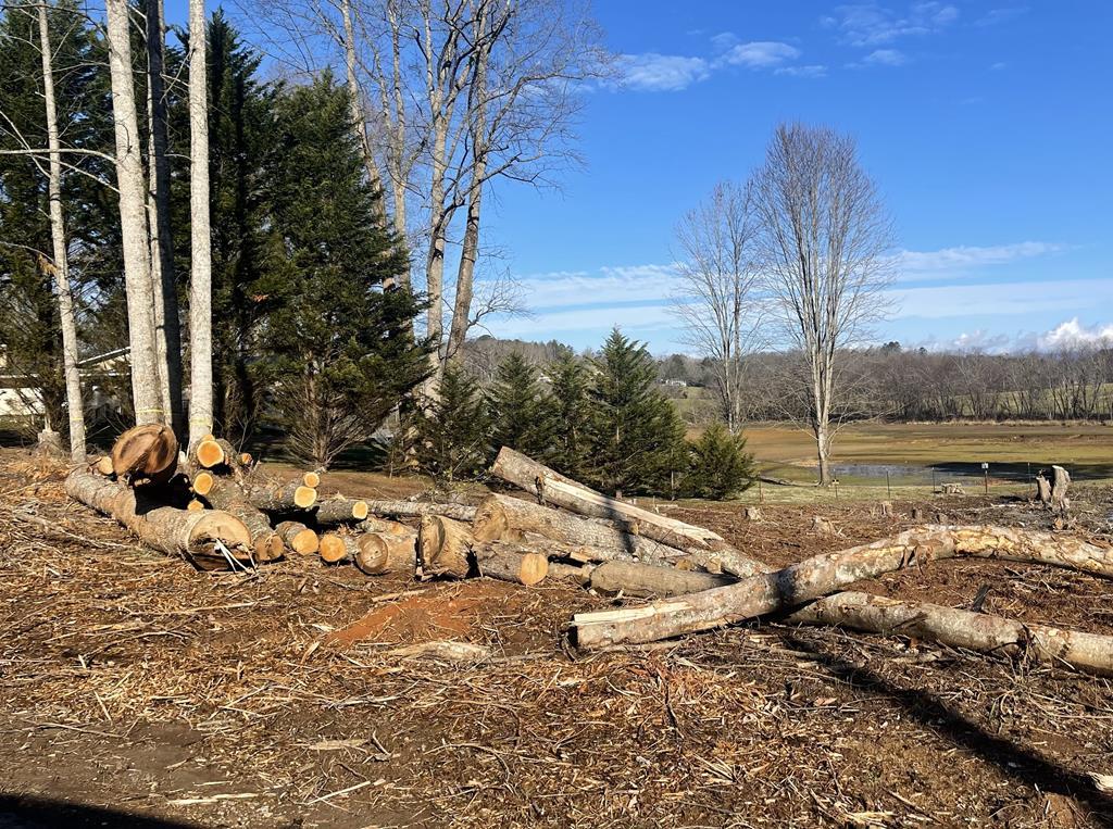 Lot 1&1a Sneaking Creek Drive, Hayesville