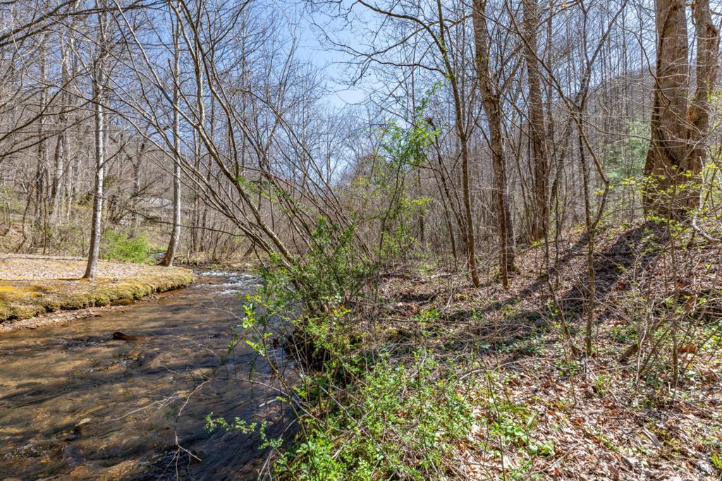 Lots 12+ Tusquittee Crossing, Hayesville