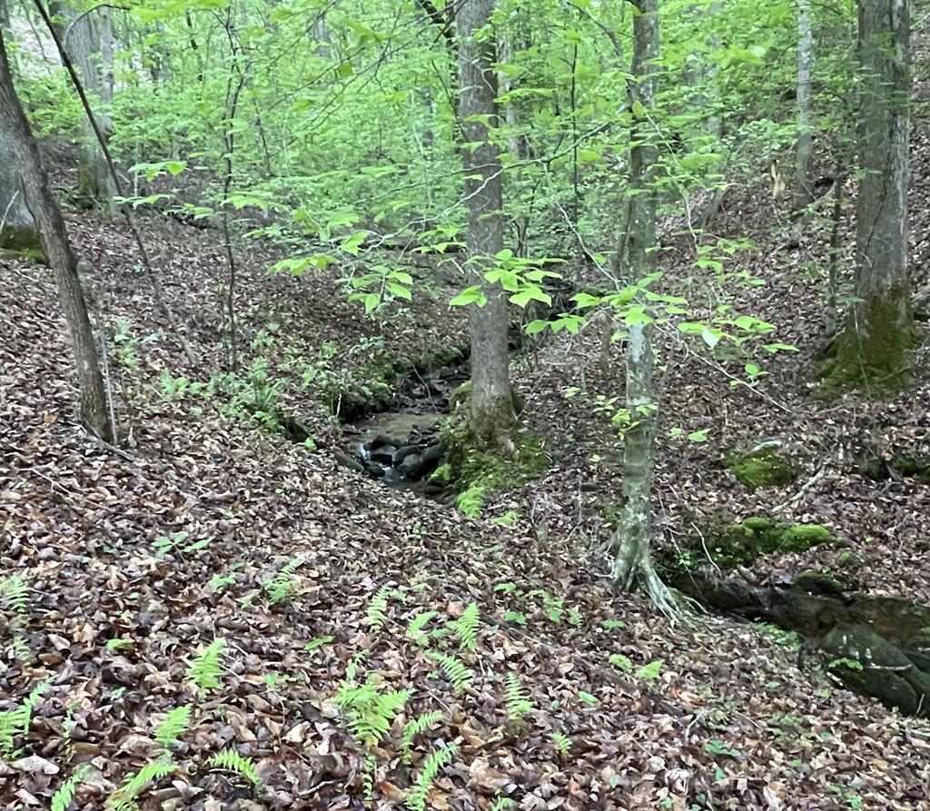 Lot 127 Water Oak Drive, Ellijay