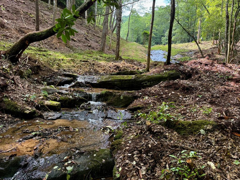 1443 Greasy Creek Road, Murphy