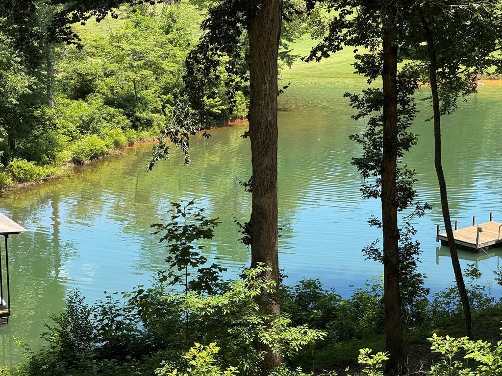 Lot 5&5a Mcclure Drive, Hayesville