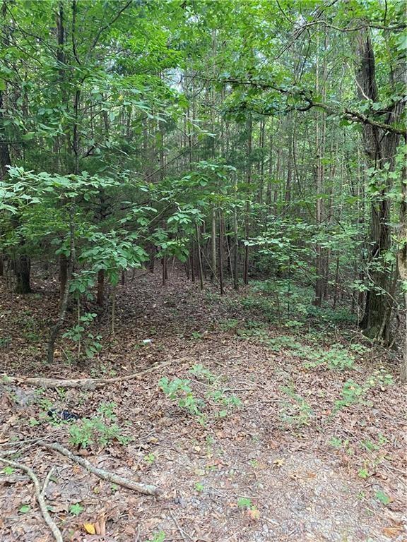 Marie Drive, Ellijay