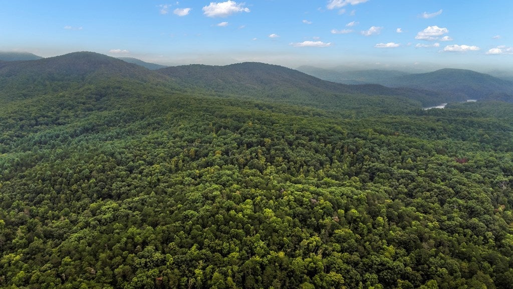 1519 Tipton Springs Road, GA Cabin Homes For Sale