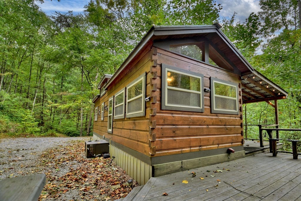 163 Chestnut Ridge Trail, Blue Ridge GA Blue Ridge Cabin Homes For Sale